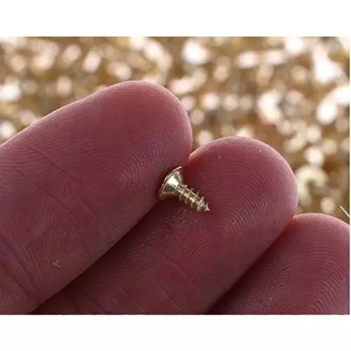 MED BUDDY Phillip Head Self Tapping Screws 2x6 mm Golden Chrome Finish (Pack of 500 Pcs)