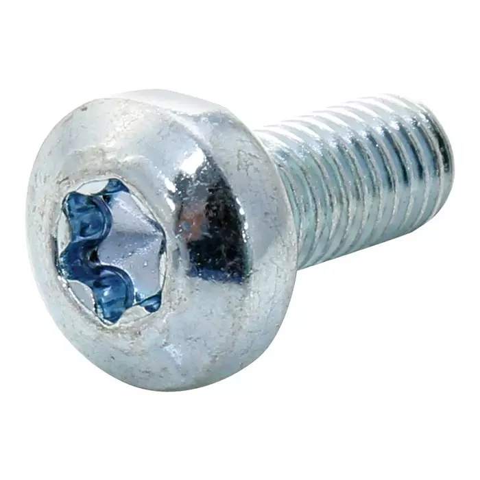 TR FASTENINGS RECESSED PAN HEAD TORX SCREW, STEEL, M5, M512PTSTMCZ100- (Pack of 100 Pcs)