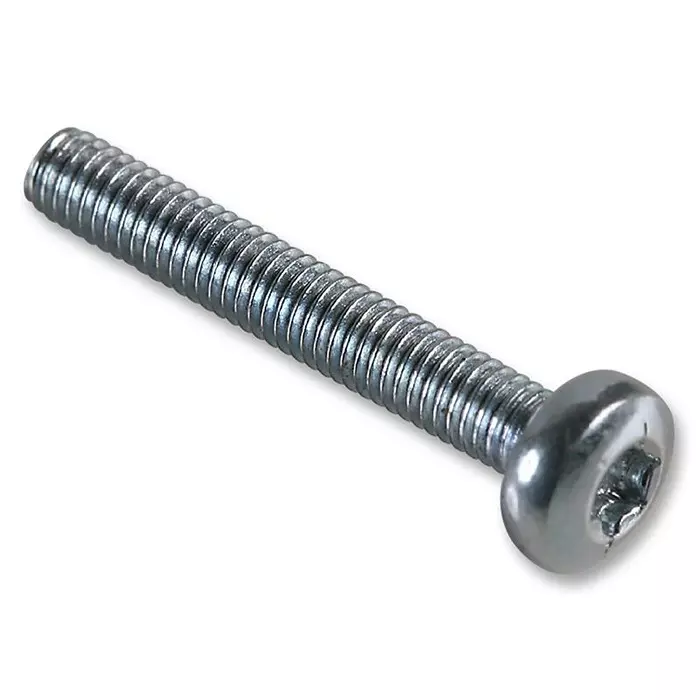 TR FASTENINGS SCREW, PAN, TORX, M3X20, BX100, PK100, M3 20 PTSTMC Z100 (Pack of 100 Pcs)