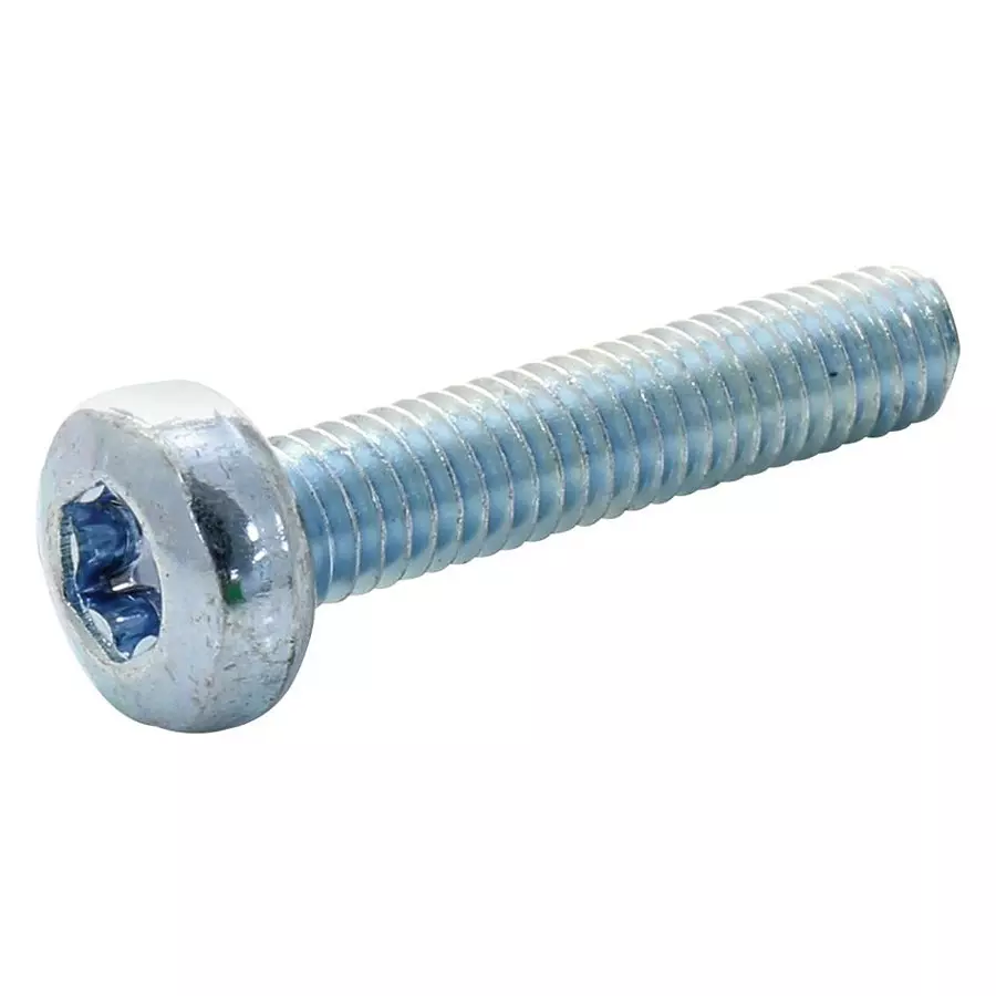 TR FASTENINGS PAN HEAD TORX SCREW, STEEL, M5, PK100, M520PTSTMCZ100- (Pack of 100 Pcs)