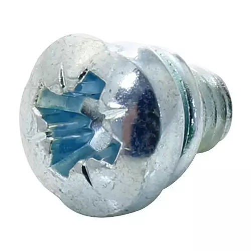 TR FASTENINGS SCREW W/SPRING WASHER, STEEL, M4, PK100, M46PRSTSSZ100- (Pack of 100 Pcs)