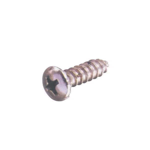Ebco Insert Screw Opaline Finish and 5 mm Diameter, IS-5 (Pack of 1000)
