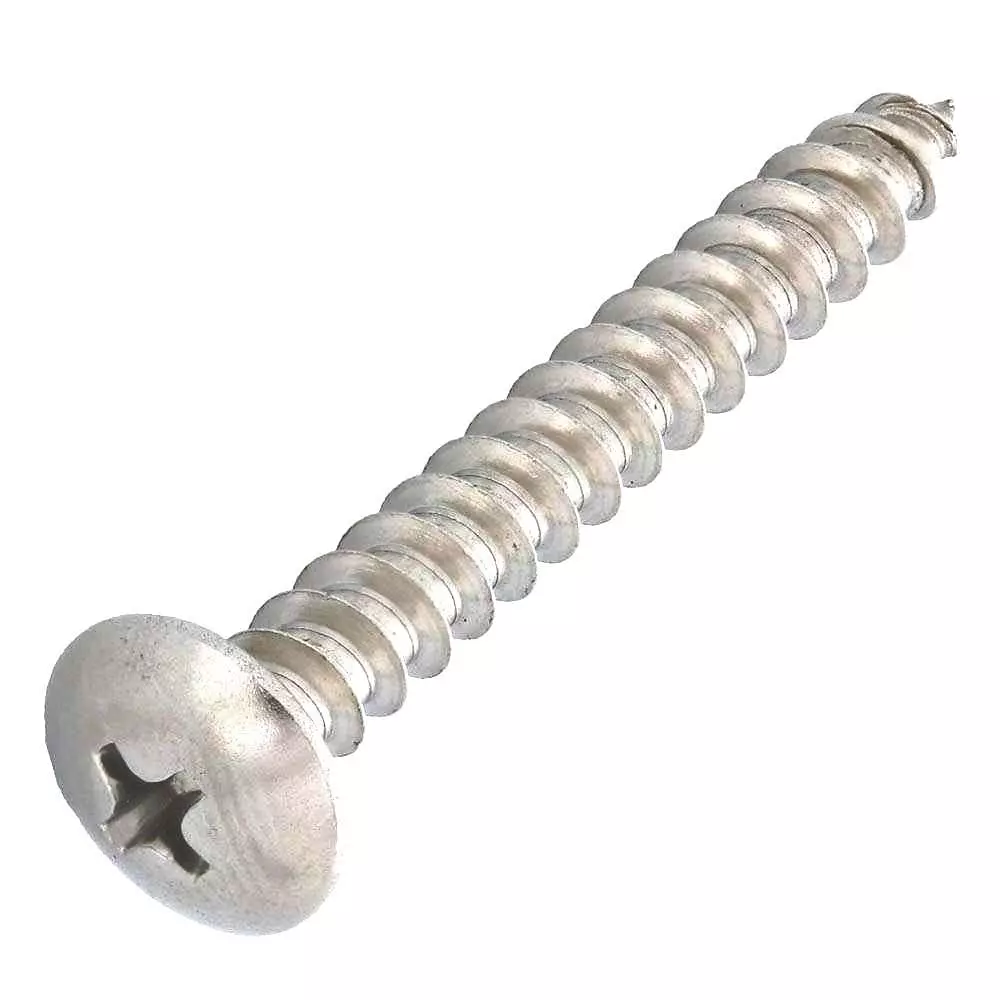 Shark Stainless Steel Screw Pan Phillips Head  Size 6x9.5 mm (Pack of 100 Pcs)