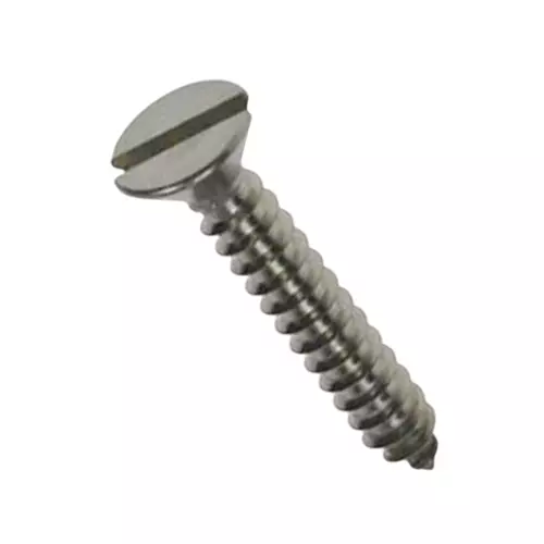 Shark Stainless Steel Screw CSK Slotted Head Size 10x100 mm (Pack of 100)
