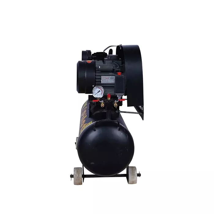 pilot-3-hp-oil-free-air-compressor-belt-driven-with-250280-lpm-air-delivery-and-160-l-tank-capacity-pl-150-65-02m