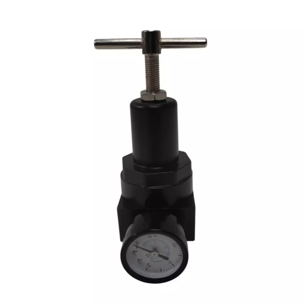 Techno 12.7 mm(1/2") High Pressure Regulator with Gauge QTYH15