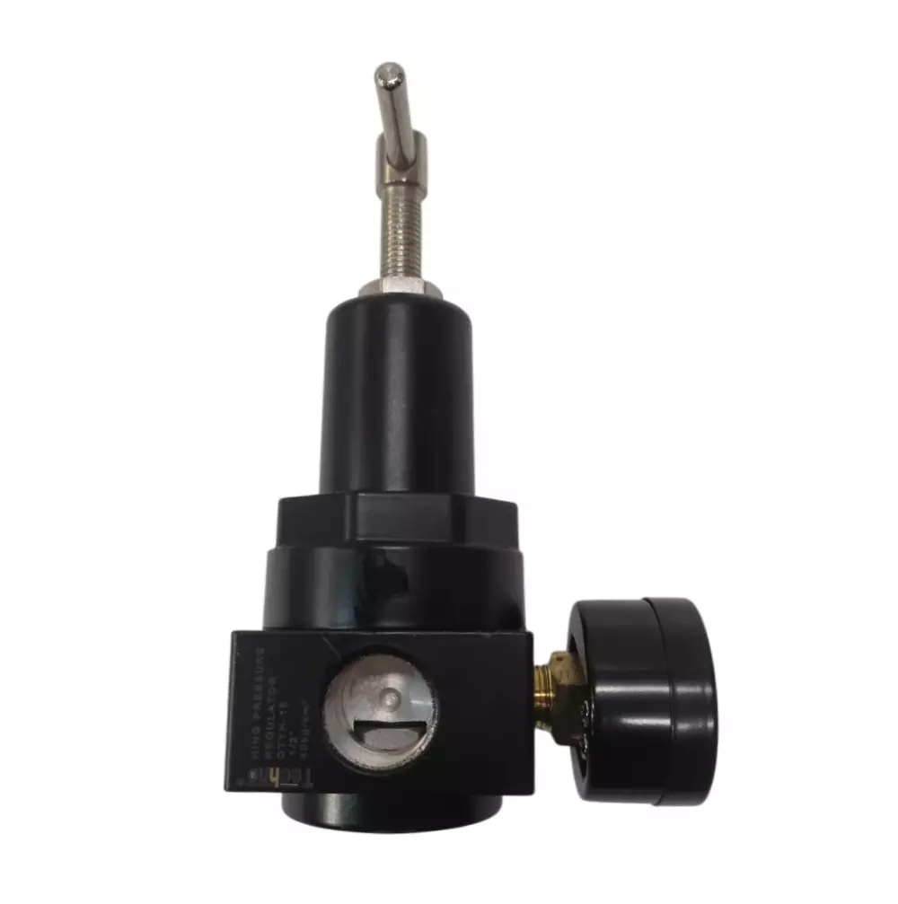 Techno 12.7 mm(1/2") High Pressure Regulator with Gauge QTYH15