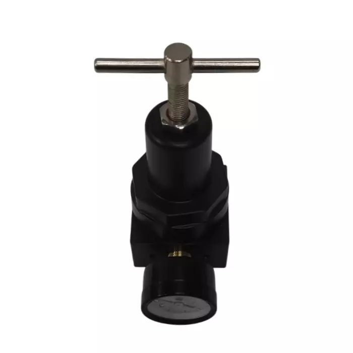 Techno 12.7 mm(1/2") High Pressure Regulator with Gauge QTYH15