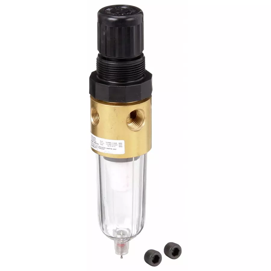 SPEEDAIRE 6.35 mm (1/4 inch) NPT 12 cfm Filter-Regulator 5 m, 4ZK77