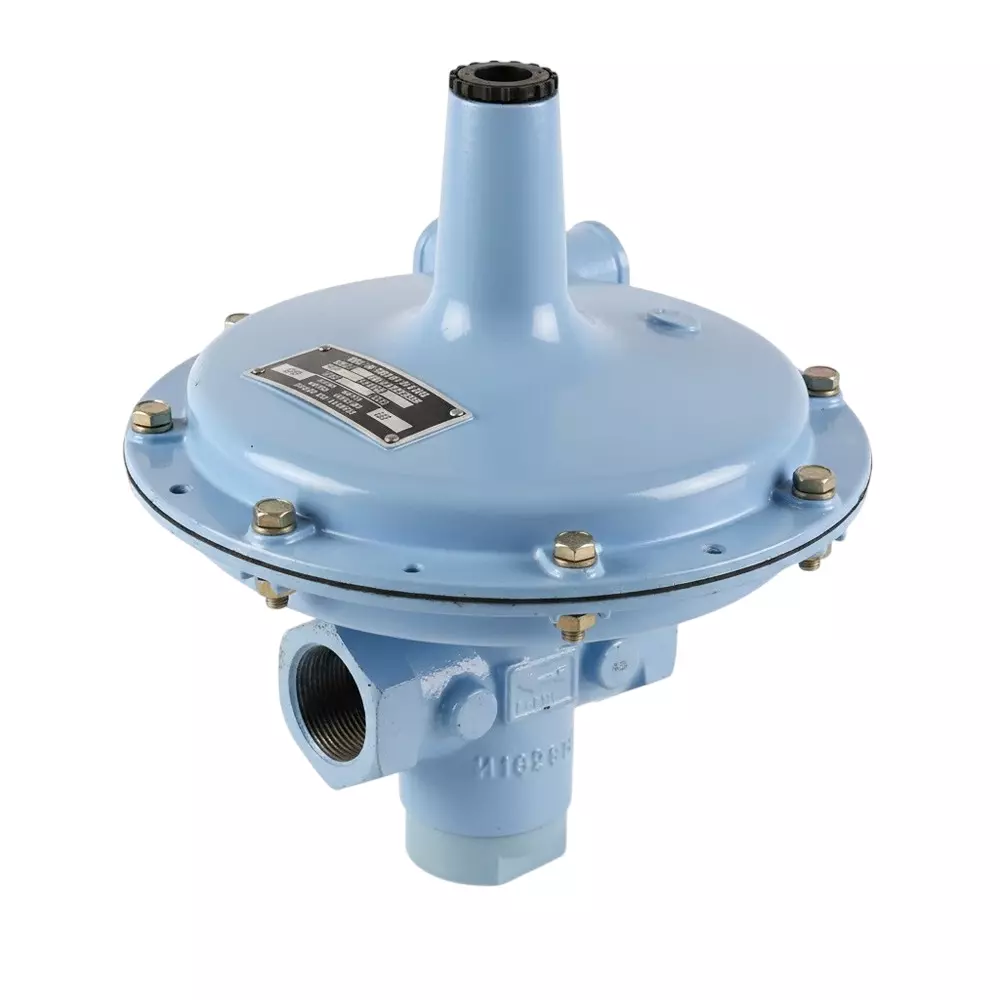 Vanaz Safety Relief Valve Blue 1.5 Inch (38 mm) Valve Size BSP Connection Type for Industrial Use, V-7738 (I)
