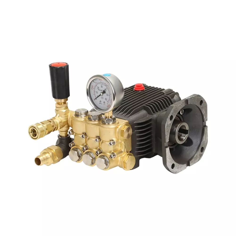 Pilot High Pressure Triplex Plunger Pump with Repair Kit Flange Series with 200 Bar Maximum Pressure and 28 mm Shaft Diameter, PL-PPF-200-28