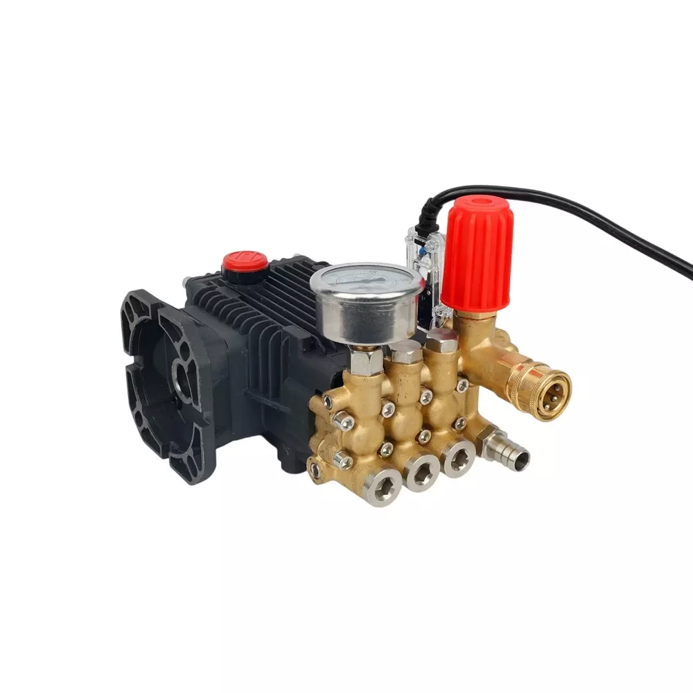 Pilot High Pressure Triplex Plunger Pump Flange Series with 120 Bar Maximum Pressure and 19 mm Hollow Shaft, PL-PPF-120-19