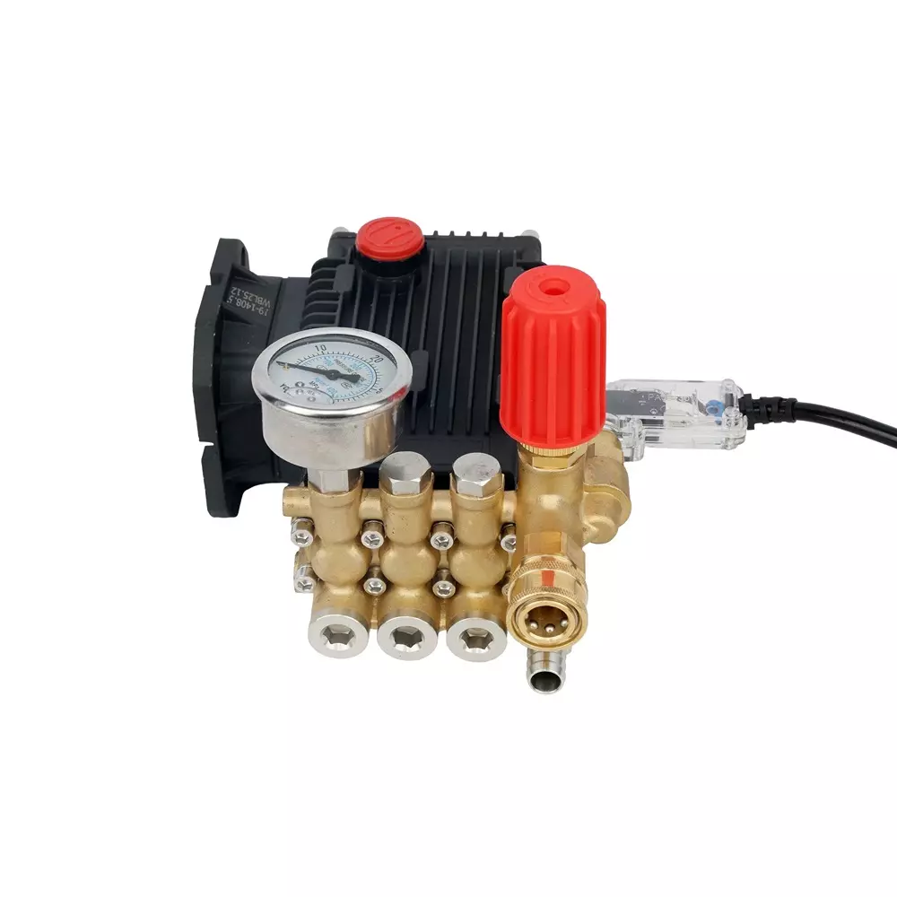 pilot-high-pressure-triplex-plunger-pump-flange-series-with-120-bar-maximum-pressure-and-19-mm-hollow-shaft-pl-ppf-120-19