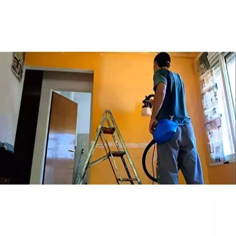 paint-zoom-portable-paint-sprayer-machine-electric-650-w-power-700-ml-tank-capaciity-wc-009