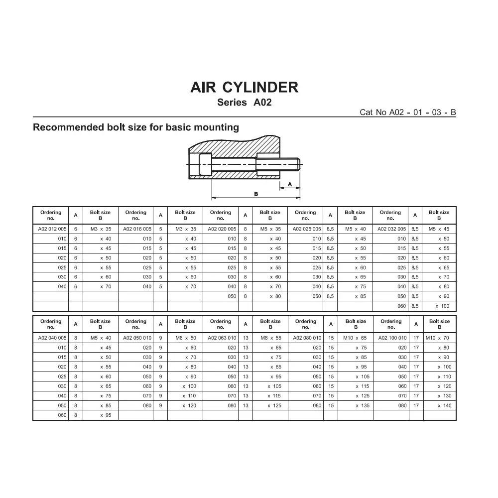 Janatics 12 x25 mm Double Acting Compact Cylinder Basic, A020120250-M
