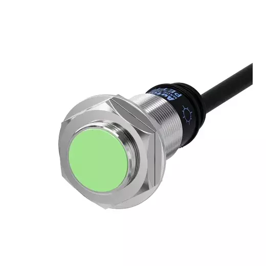 Autonics Inductive Proximity Sensor 0.07 x 7(45), PET18-5