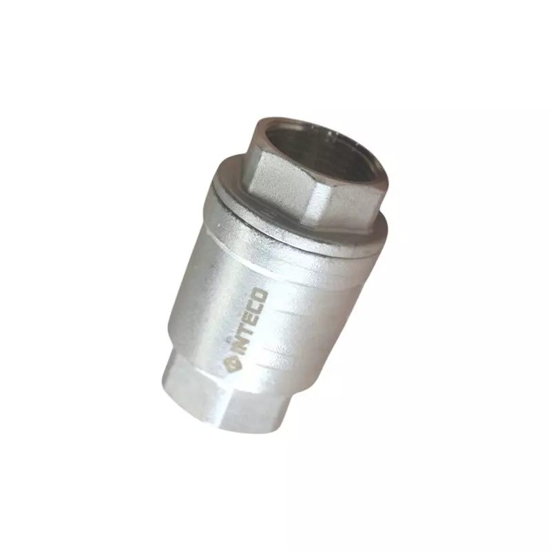 INTECO Check Valve Vertical Type SS-304 25 mm (1 Inch), 2102-DN25