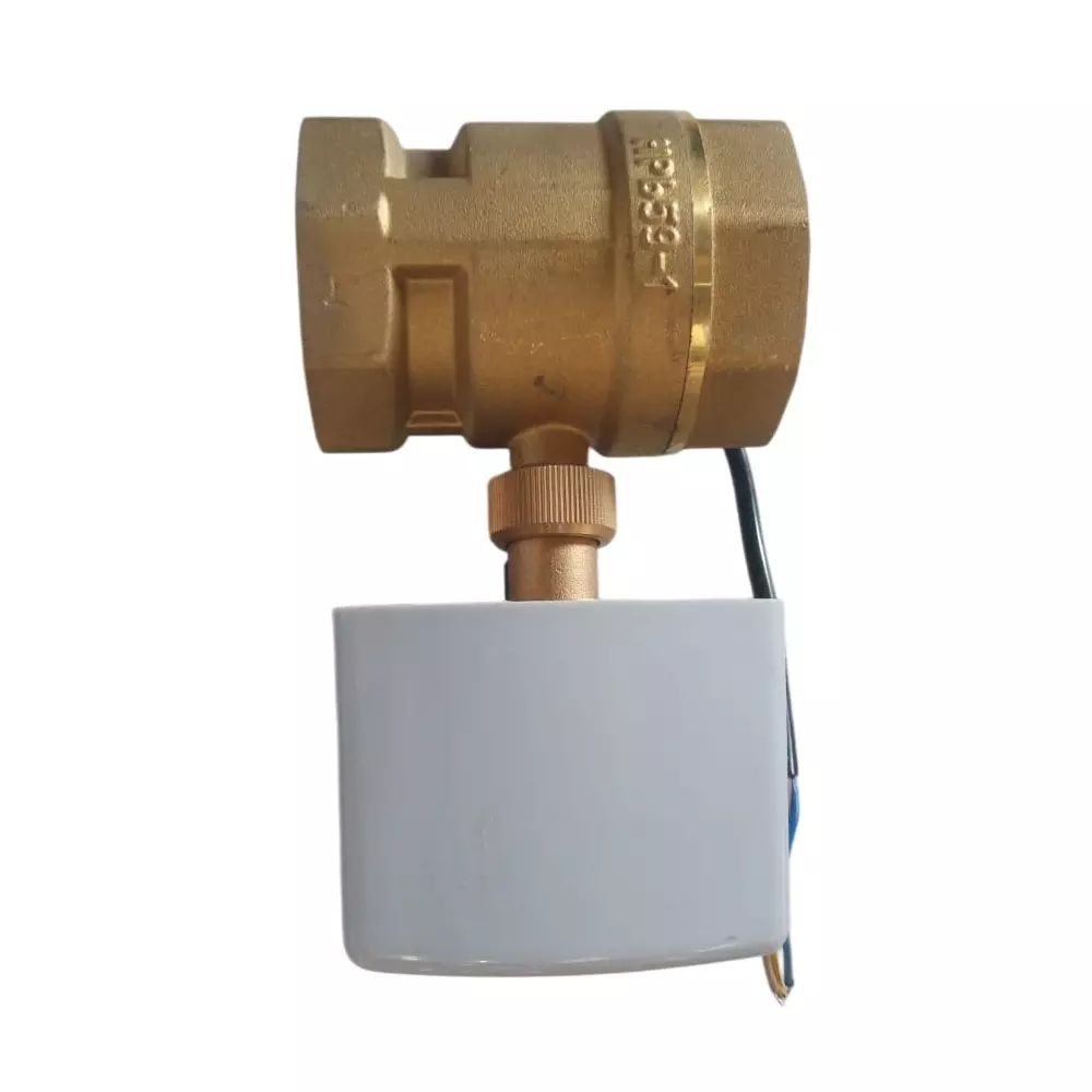 Techno EAV2-50 50.8mm(2 Inch) 2 Way Brass Valve with Electric Actuator