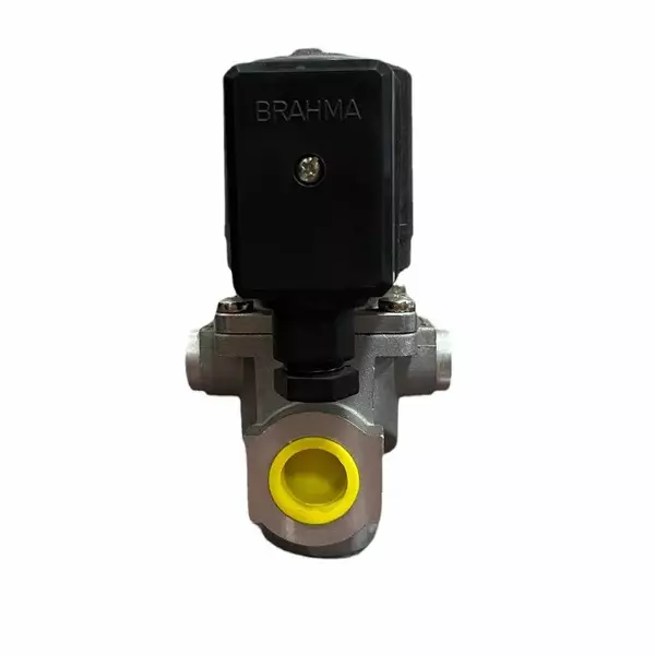 Brahma Solenoid Valve Brass Class A 20 VA 500 Mbar, EG12*SR*GMO