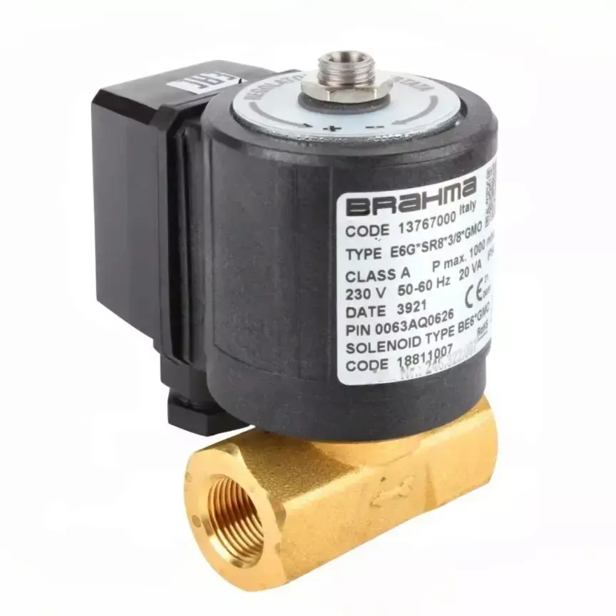 Brahma Solenoid Valve 230 V 20 VA, E6GSR