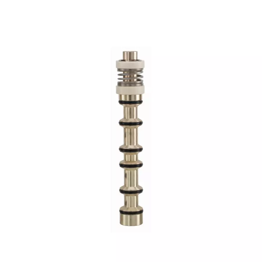 Spac Spool Valve With Seal Kit Stainless Steel & Rubber Golden for FG Series Valve, SKSPFG2531-10