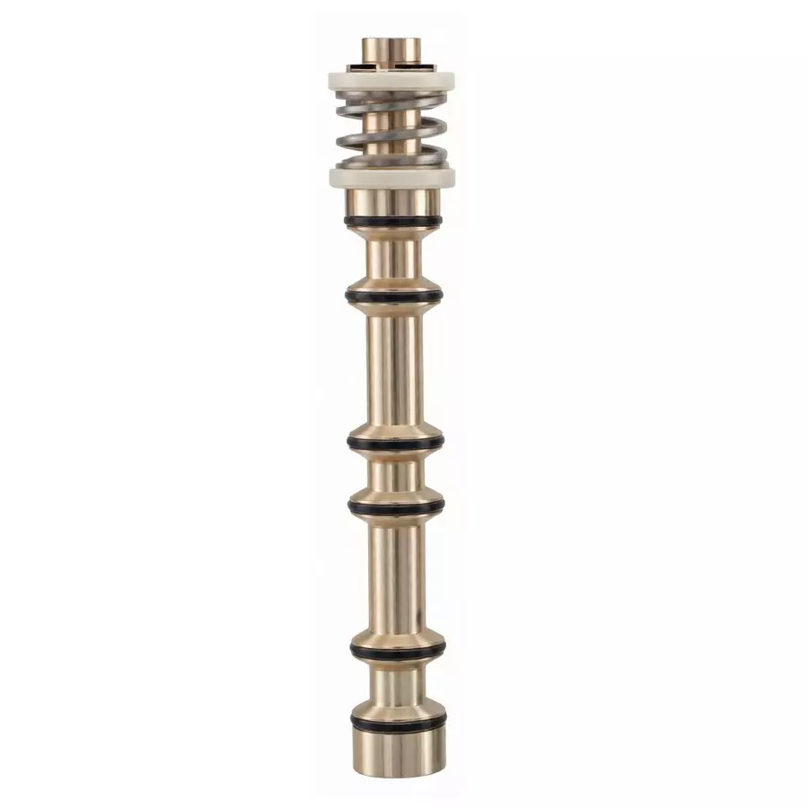 Spac Spool Valve With Seal Kit Stainless Steel & Rubber Golden for FG Series Valve, SKSPFG2511-06