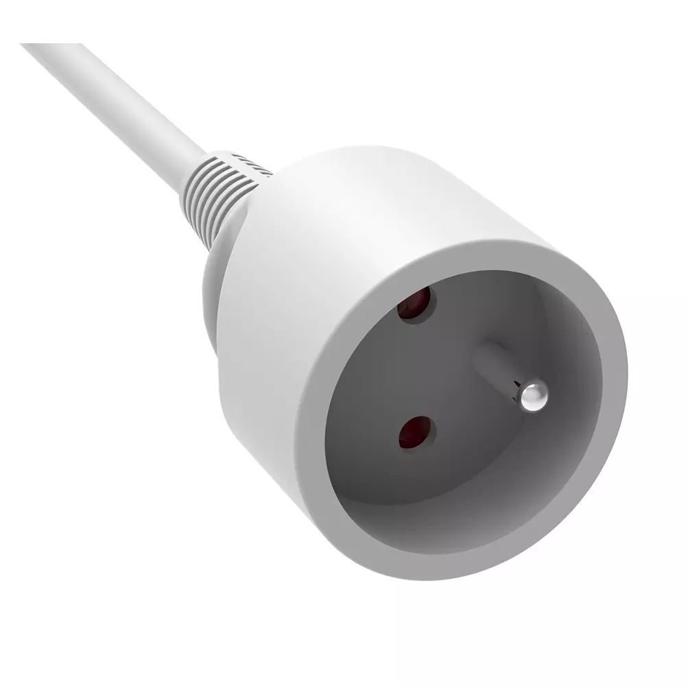 rs-pro-extension-lead-2734986