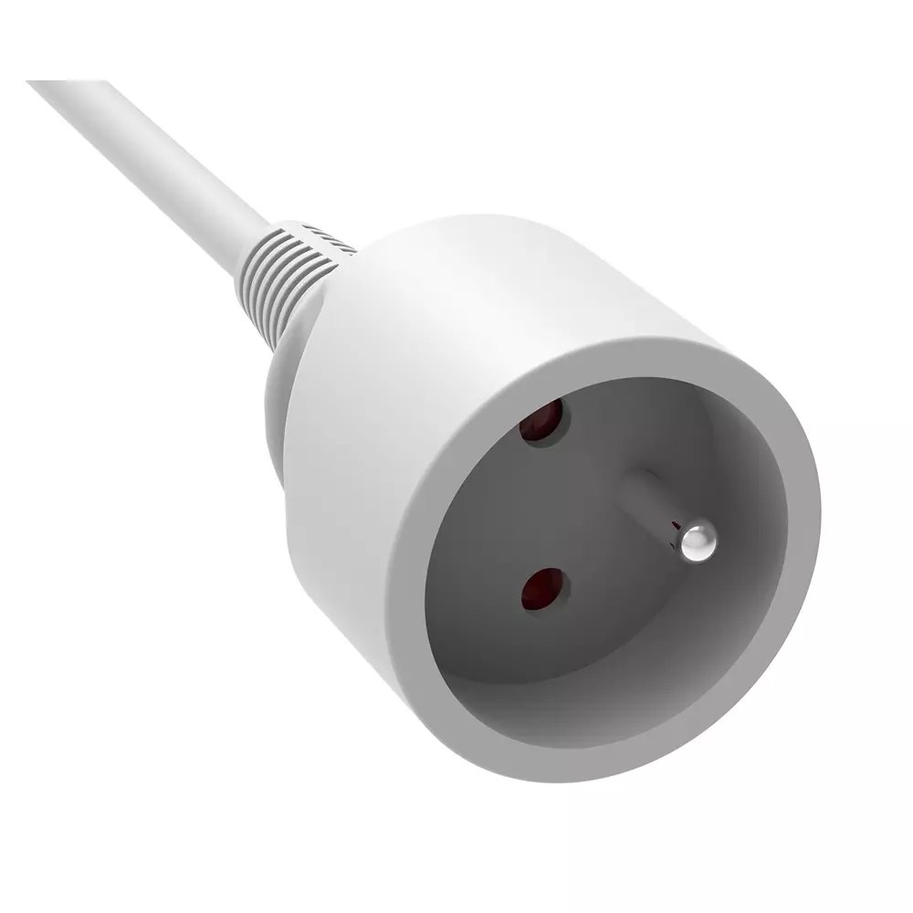 rs-pro-extension-lead-2734984
