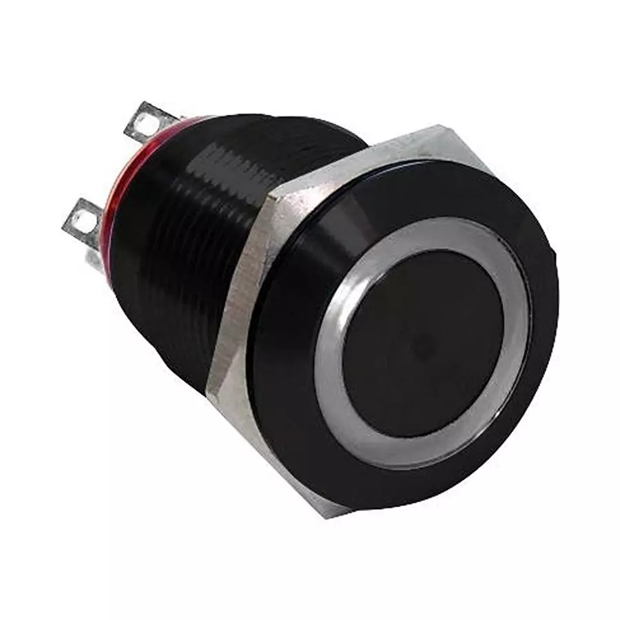 E-SWITCH ANTI VANDAL SW, DPDT, 2A, 24VDC, SOLDER, PV4F2G011-311.