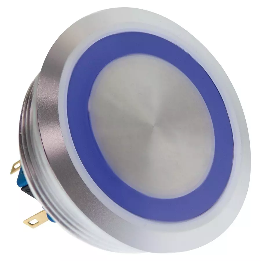 E-SWITCH VANDAL RESISTANT SW, DPDT, 2A, 48V, BLUE, PV10F2V0SS-341.