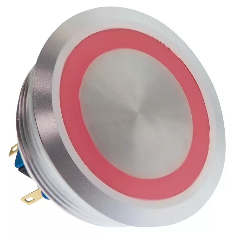 E-SWITCH VANDAL RESISTANT SW, DPDT, 2A, 48V, RED, PV10F2U0SS-311