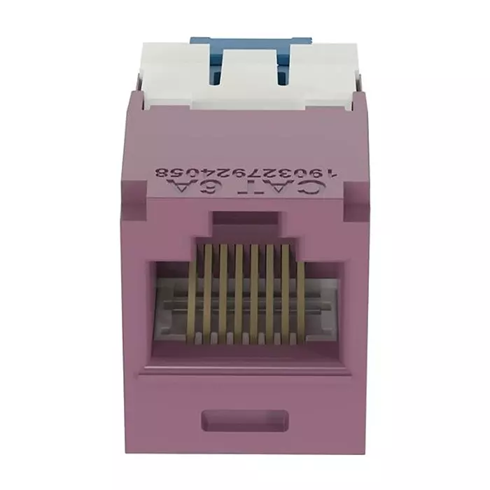 PANDUIT Modular & Ethernet Connectors RJ45 CONN, JACK, 8P8C, 1PORT, VIOLET, CJ6X88TGVL-24 (Pack of 24)