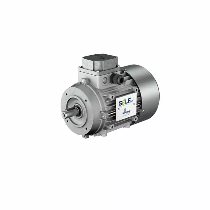 Motovario M Reversible Asynchronous AC Motor 0.75 kW IE3 3 Phase 4 Pole 400 V Flange Mount Mounting, TP-SL80B4 0,75 230/400-50 B14 MV