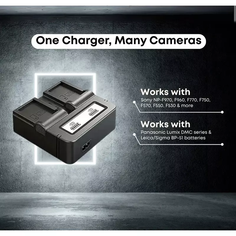 lrsa-fz100-duo-charger-dual-battery-charger-compatible-with-lumix-series-dmc-gx8-dmc-g7-dmc-g6k-dmc-g6kk-dmc-gh2-dmc-g5-dmc-fz200-dmc-fz300-dmc-fz100-digital-camera