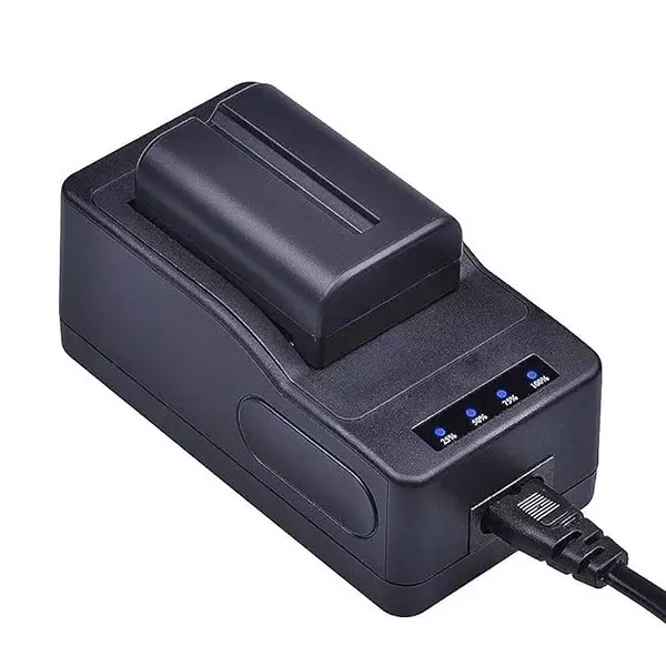 lrsa-video-camera-charger-compatible-with-sony-camcorder-batteries-np-f970-f960-f770-f750-f570-f550-f530-f770-with-np-f990-battery-lrsa