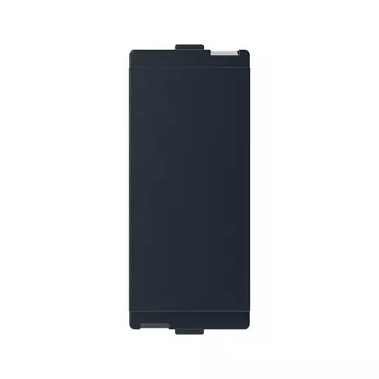 ABB LIORA Blank Plate 1 Module Plastic 240 V AC Rated Voltage Stone Grey for Home & Office Use, 1SYK100001A2542