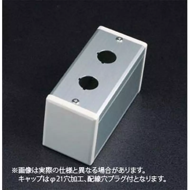 SUS Control Box Preventing mosquito bites Applicable Standard 196.0 mm Dimension L 22.5 mm Hole Diameter, D6B-333B
