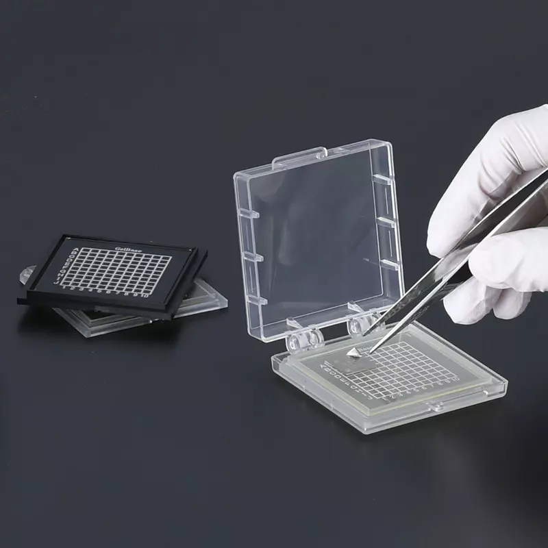 exseal-gel-base-2-inch-flat-type-50775307
