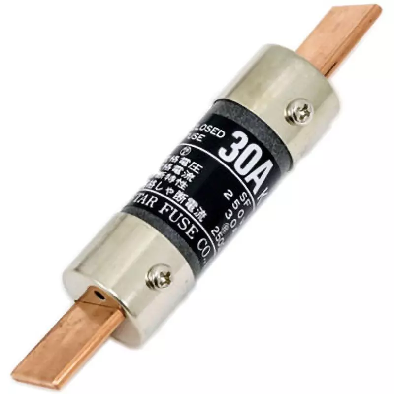 Esco Cylindrical Encrofuse 250 V Rated Voltage 2500 A Breaking Current 30 A Rated Current, EA758ZV-26 (Pack of 2)