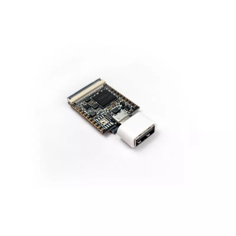 SiPEED Lichee Nano Linux Development Board 16M Flash Version