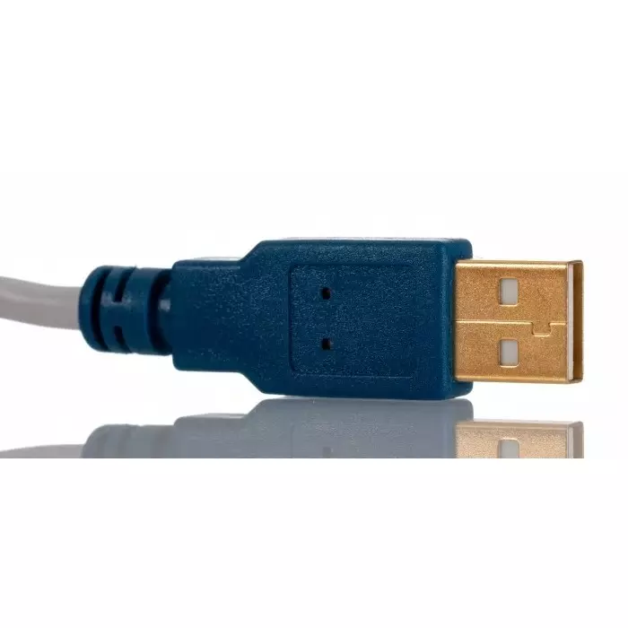 FTDI RS232 USB A Male to D-Sub 9 Pin Male Converter Cable, US232R-100-BULK