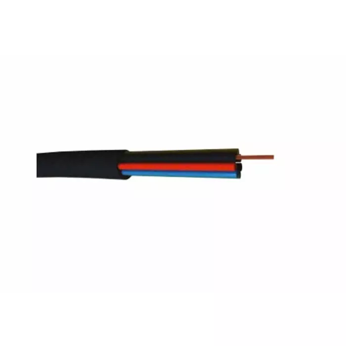 S2Ceb-Groupe Cae 2 Core Speaker Cable 2.5 mm² CSA Unscreened 7.7mm O.D 100m Black, FHP225FRNC