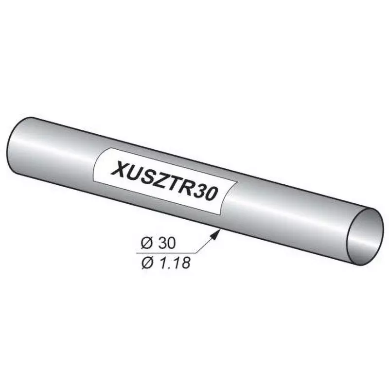 TELEMECANIQUE SENSORS Safety Light Curtain, XUSZTR30