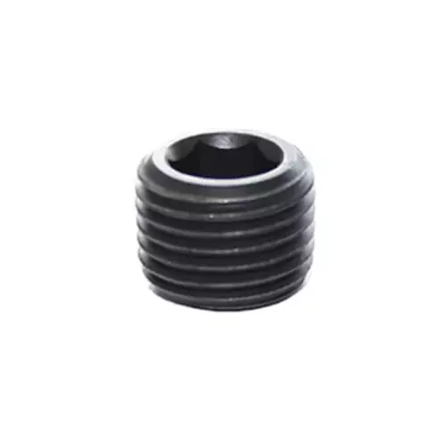 Legris Tubing Plug Steel R 1/8 Threaded Connection, 0206 10 00 (Pack of 50 Pcs)