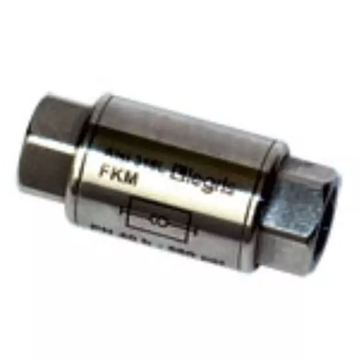 Legris Stainless Steel Single Non Return Valve G 3/4 inch 40  Bar, 4890 27 27
