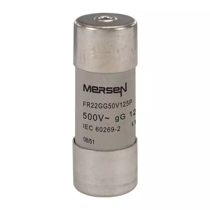 Mersen Slow-Blow Ceramic Cartridge Fuse 125 A 500 V AC 22.2x58 mm, FR22GG50V125P (Pack of 10 Pcs)