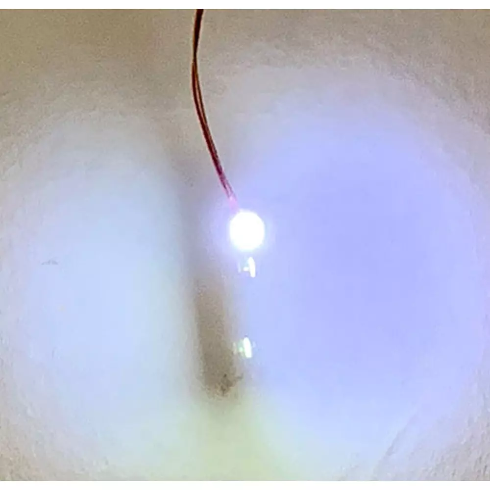 kyoritsu-electronics-lead-wire-processing-chip-led-65150297