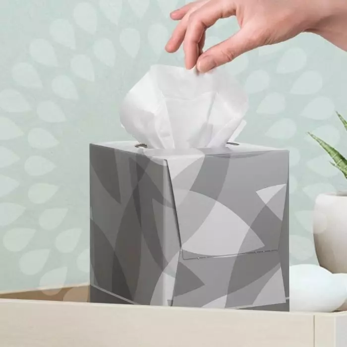 Kimberly-Clark KLEENEX Facial Tissues 2-Ply 80 Wipes Per Pack White, 8834