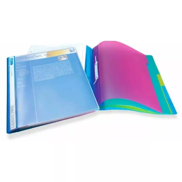 Rapesco Punched Pocket Polypropylene, Assorted Color, A4 Paper Size supported, 668
