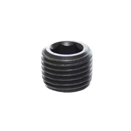 Legris Blanking Plug NPT 1/8 Male Threaded Connection, 0206 11 00 (Pack of 50 Pcs)